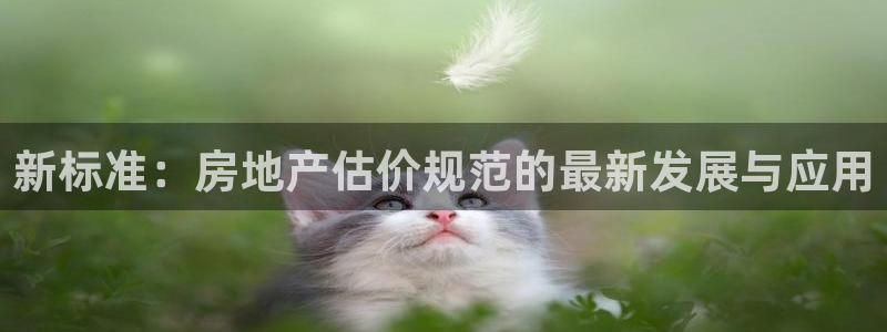 和记3hk官网：新标准：房地产估价规范的最新发展与应用