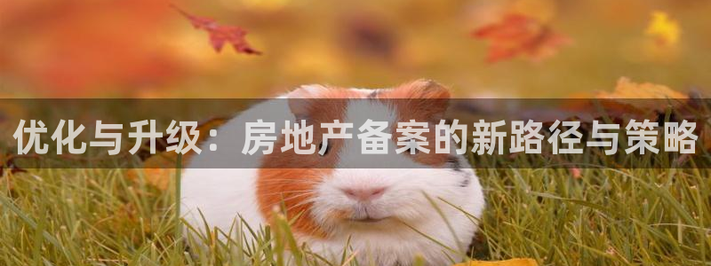 澳门和记电信官网：优化与升级：房地产备案的新路径与策略