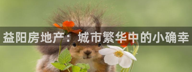 和记国际有限公司官网