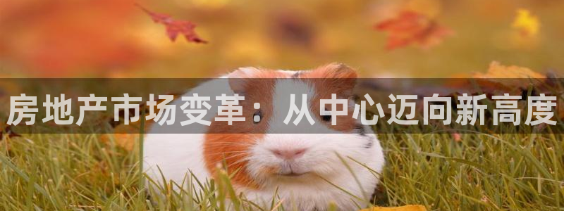印尼和记官网：房地产市场变革：从中心迈向新高度