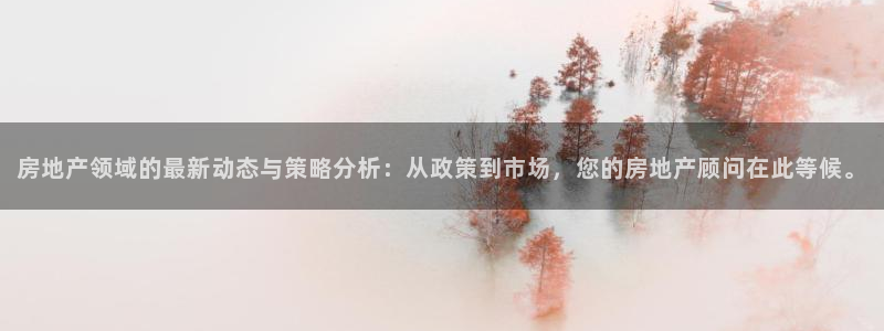 长江和记有限公司官网：房地产领域的最新动态与策略分析：从政策