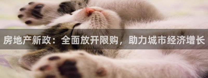 和记开户官网：房地产新政：全面放开限购，助力城市经济增长
