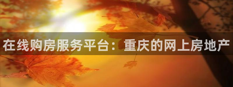 和记娱要多少钱h88285官网