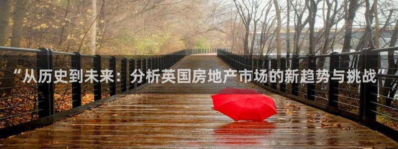 和记电讯three官网：“从历史到未来：分析英国房地产市场的