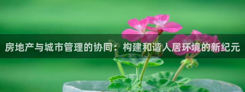 和黄记官网：房地产与城市管理的协同：构建和谐人居环境的新纪元