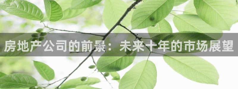 和记娱实惠h88285官网：房地产公司的前景：未来十年的市场