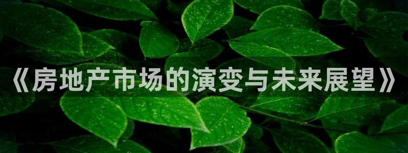 和记官网手机新版app下载：《房地产市场的演变与未来展望》