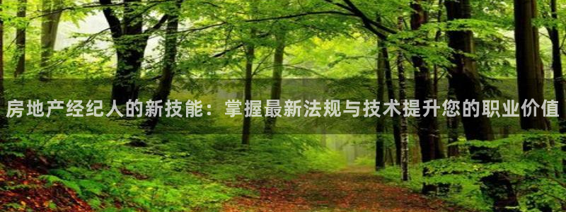 和记大合城dk2官网：房地产经纪人的新技能：掌握最新法规与技