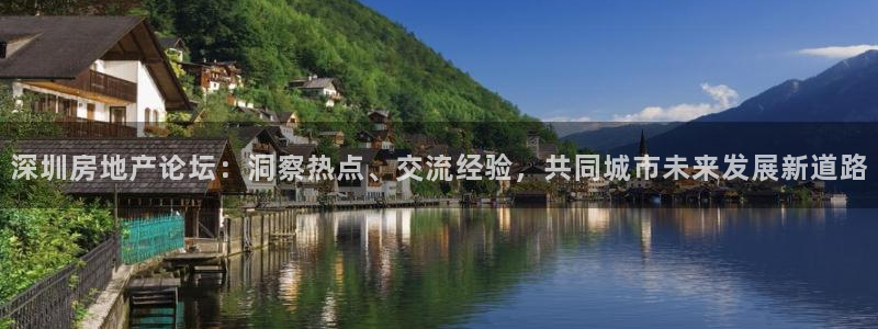 和记唯一官网：深圳房地产论坛：洞察热点、交流经验，共同城市未