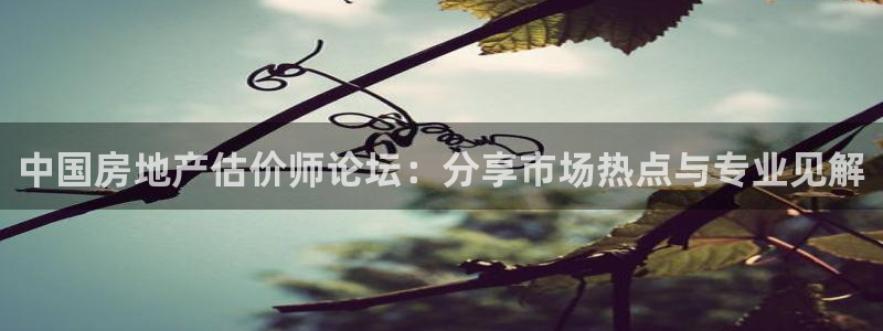 和记官网充值：中国房地产估价师论坛：分享市场热点与专业见解