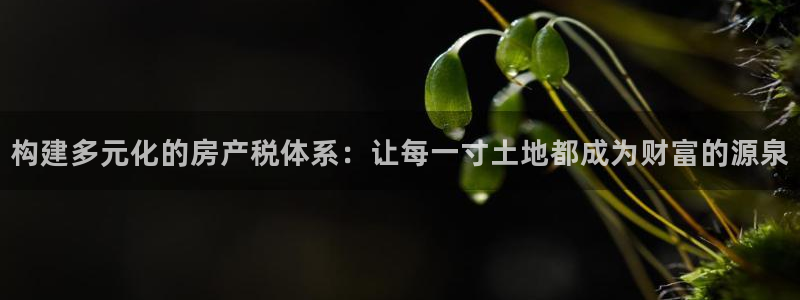 和记电游官网：构建多元化的房产税体系：让每一寸土地都成为财富