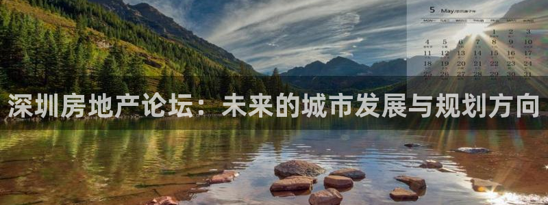 和记官网进入：深圳房地产论坛：未来的城市发展与规划方向