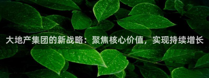 和记官网手机新版app下载