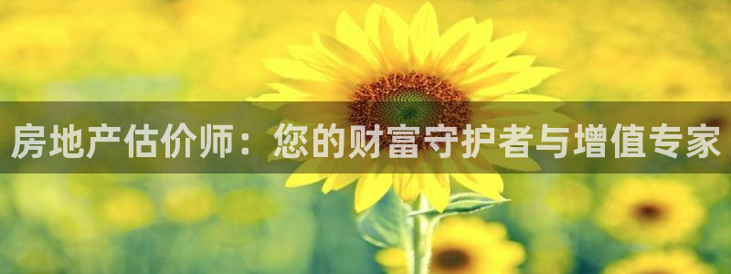 和记娱乐首页官网：房地产估价师：您的财富守护者与增值专家