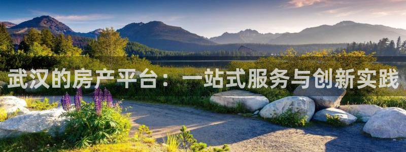和行记义工网官网：武汉的房产平台：一站式服务与创新实践