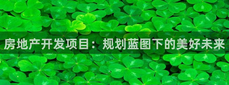 和记hgc官网：房地产开发项目：规划蓝图下的美好未来