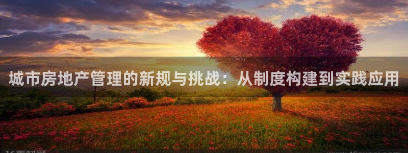 桃源记九游和官网：城市房地产管理的新规与挑战：从制度构建到实