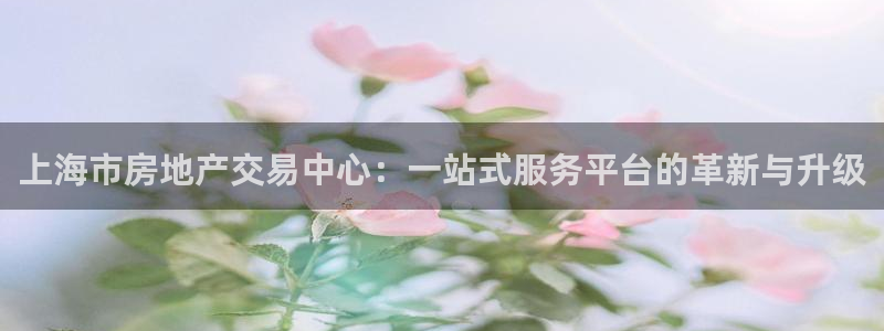 和记官网怡情娱乐：上海市房地产交易中心：一站式服务平台的革新