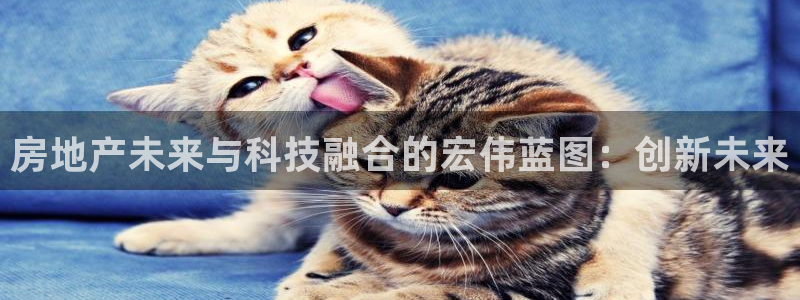 澳门3和记官网：房地产未来与科技融合的宏伟蓝图：创新未来