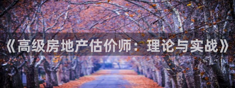 和记娱实惠h88285官网：《高级房地产估价师：理论与实战》