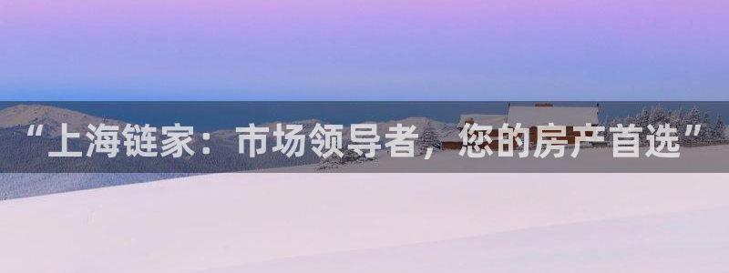 和元李记官网：“上海链家：市场领导者，您的房产首选”