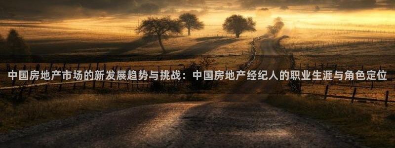 和帆记官网：中国房地产市场的新发展趋势与挑战：中国房地产经纪