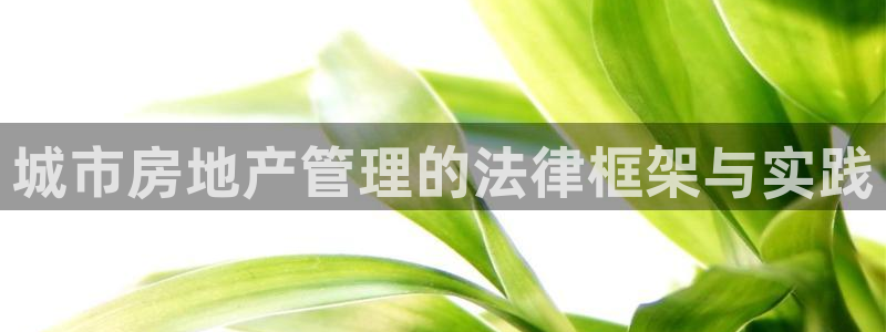 和记万佳官网：城市房地产管理的法律框架与实践
