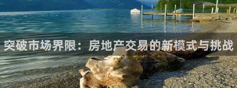 和记备用网官网开户：突破市场界限：房地产交易的新模式与挑战