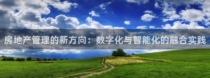 和记大合城dk2官网