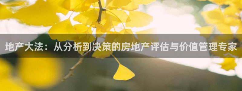 香港和记3官网：地产大法：从分析到决策的房地产评估与价值管理