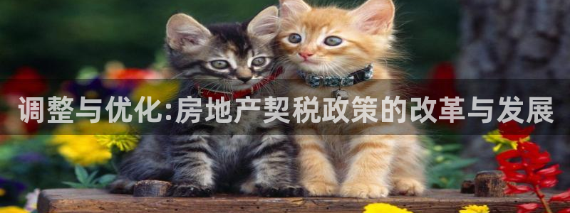 和记奥普泰 官网：调整与优化:房地产契税政策的改革与发展
