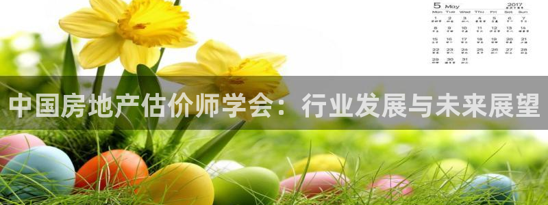 和记网开户官网：中国房地产估价师学会：行业发展与未来展望
