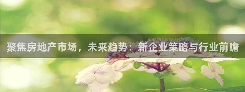 和记手机版官网：聚焦房地产市场，未来趋势：新企业策略与行业前