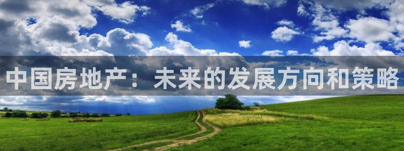 和记娱乐网官网：中国房地产：未来的发展方向和策略