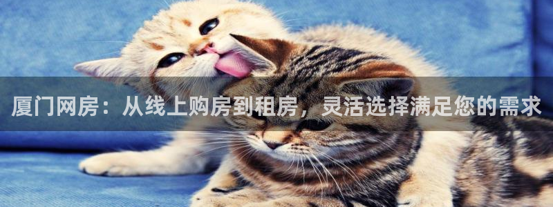 澳门和记电信官网：厦门网房：从线上购房到租房，灵活选择满足您
