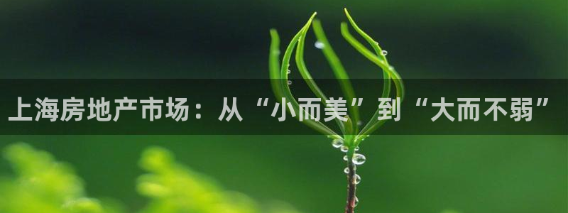 和记怡情h88官网：上海房地产市场：从“小而美”到“大而不弱