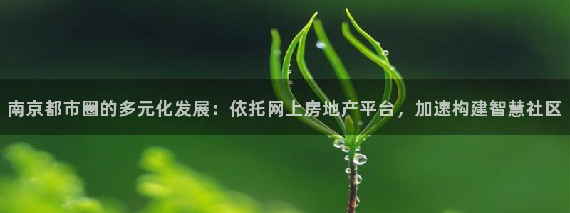 和生记官网：南京都市圈的多元化发展：依托网上房地产平台，加速