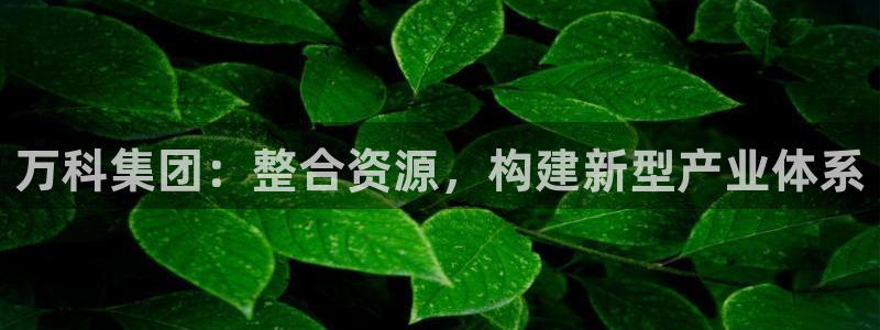 和记官网官网入口：万科集团：整合资源，构建新型产业体系