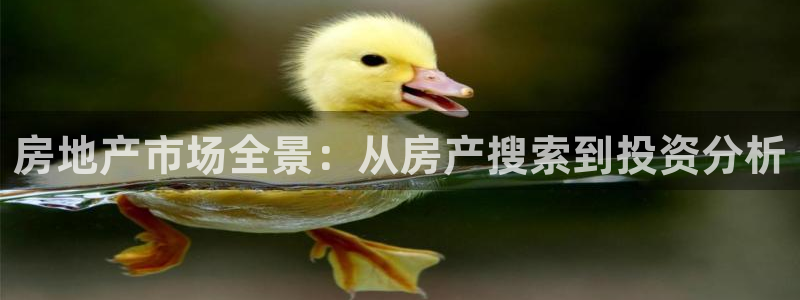 和记3电讯 官网