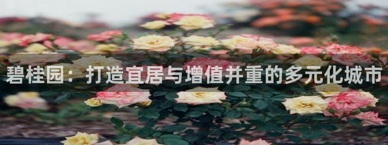 和记手机版官网：碧桂园：打造宜居与增值并重的多元化城市
