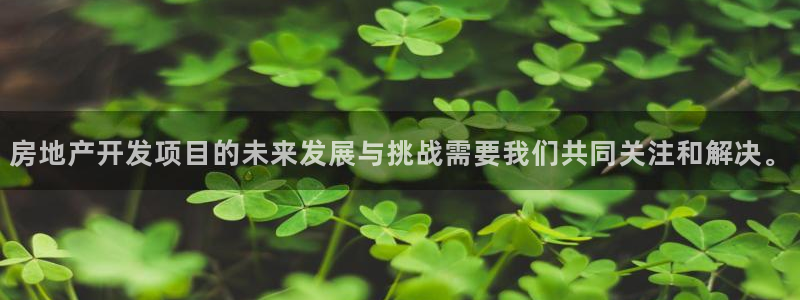 3和记电讯官网：房地产开发项目的未来发展与挑战需要我们共同关