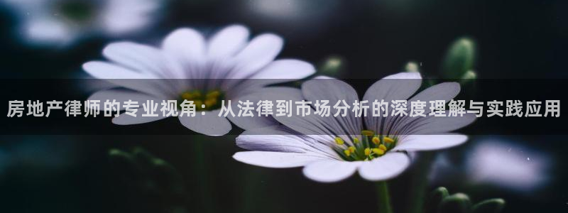 和记怡情h88官网中文版：房地产律师的专业视角：从法律到市场