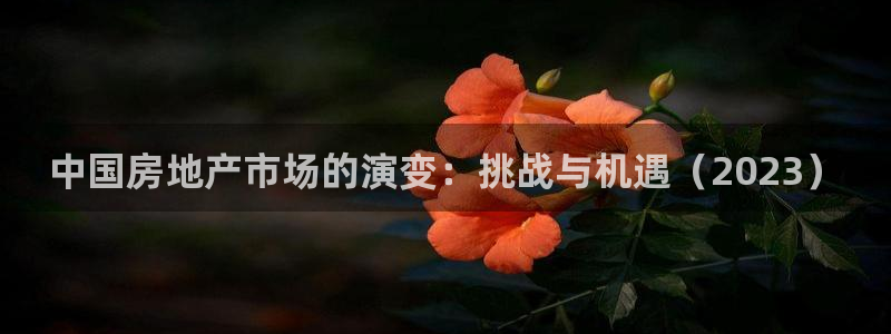 和记电讯香港官网：中国房地产市场的演变：挑战与机遇（2023