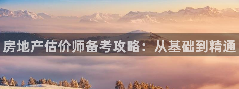 香港和记电讯官网：房地产估价师备考攻略：从基础到精通