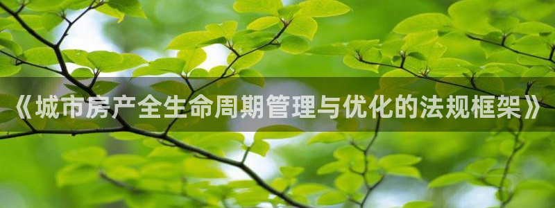 和记黄浦官网：《城市房产全生命周期管理与优化的法规框架》