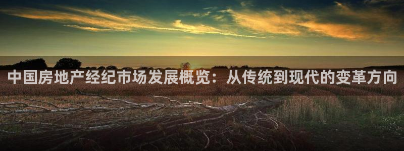 果博官网和记：中国房地产经纪市场发展概览：从传统到现代的变革