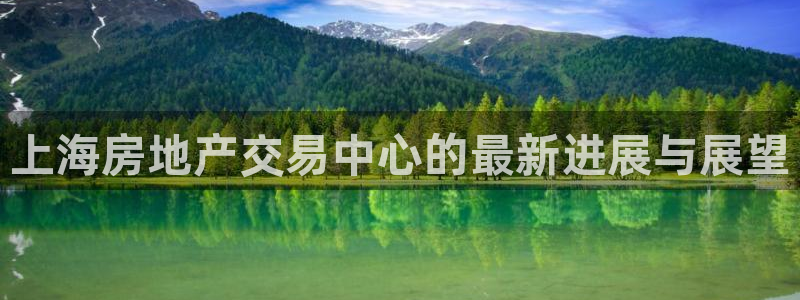 和记官网登录：上海房地产交易中心的最新进展与展望