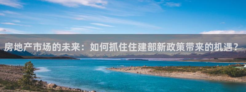 和记黄埔集团官网：房地产市场的未来：如何抓住住建部新政策带来
