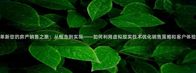 和记娱的确好h88285官网：革新您的房产销售之旅：从概念到