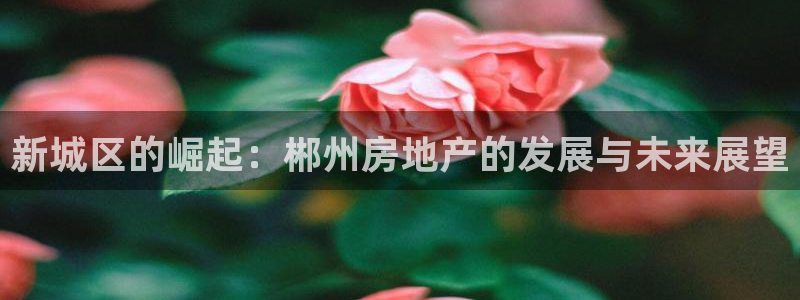 和记体育官网：新城区的崛起：郴州房地产的发展与未来展望